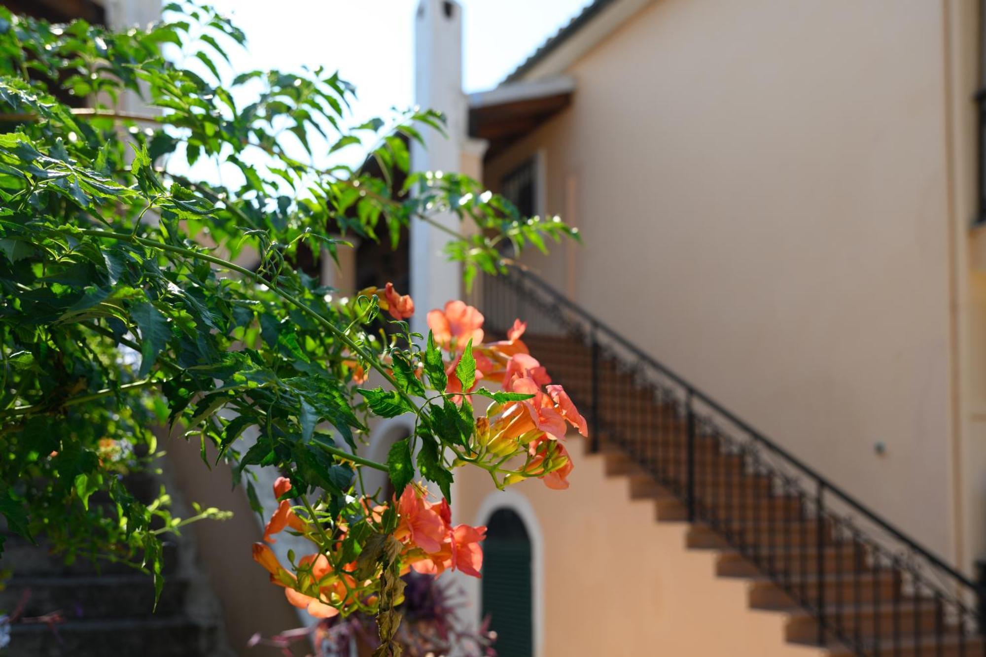 Xenia'S Apartments In Alepou Corfu  Eksteriør billede